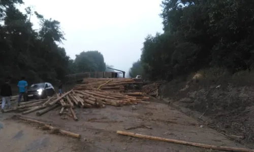 
          Imagem ilustrativa da imagem Trecho da BR-101 no ES é interditado após carreta com eucalipto tombar na pista
          