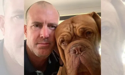 
          Imagem ilustrativa da imagem Tubarão-branco de 4 metros 'arranca' pé de surfista em praia da Austrália
          