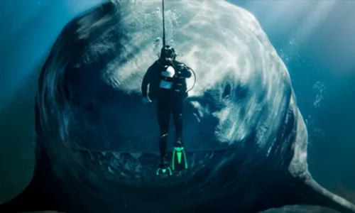 
          Imagem ilustrativa da imagem Tubarão de mais de 20 metros é atração no cinema
          