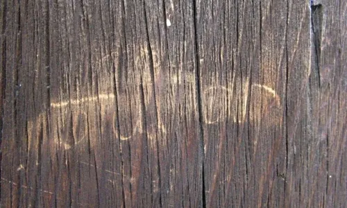 
          Imagem ilustrativa da imagem Turista de 17 anos é flagrado vandalizando templo japonês do século 8
          