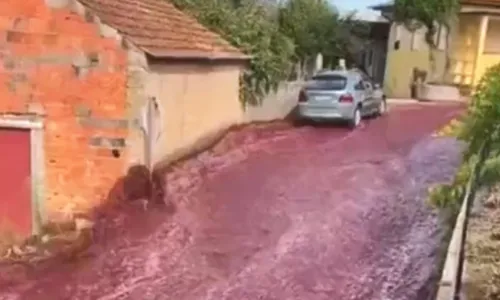 
          Imagem ilustrativa da imagem VÍDEO | 'Rio de vinho' inunda cidade em Portugal após acidente em destilaria
          