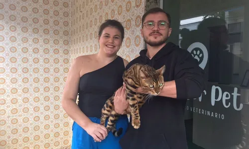 
          Imagem ilustrativa da imagem Veja as mordomias dos gatos mais caros do Brasil
          