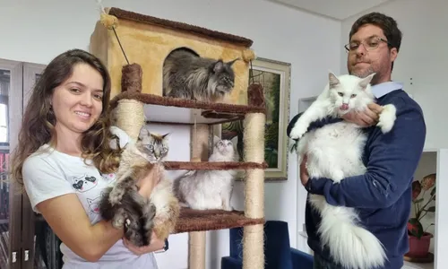 
          Imagem ilustrativa da imagem Veja as mordomias dos gatos mais caros do Brasil
          