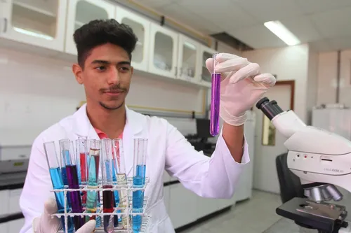 
          Imagem ilustrativa da imagem Veja quais são os 15 cursos técnicos mais procurados pelos jovens
          