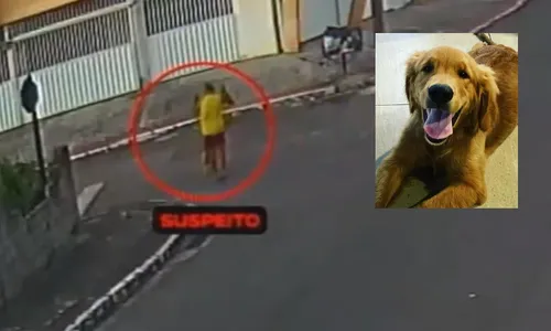 
          Imagem ilustrativa da imagem Vídeo mostra momento em que policial de MG atira em cachorro em rua de Guarapari
          