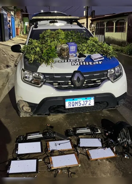 Imagem ilustrativa da imagem Polícia descobre laboratório de cultivo de maconha na Serra