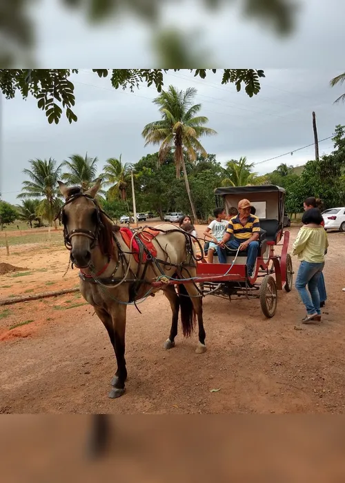 Imagem ilustrativa da imagem Seis circuitos para curtir o agroturismo na Serra