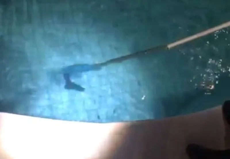 Policiais usaram rede para pescar arma no fundo da piscina