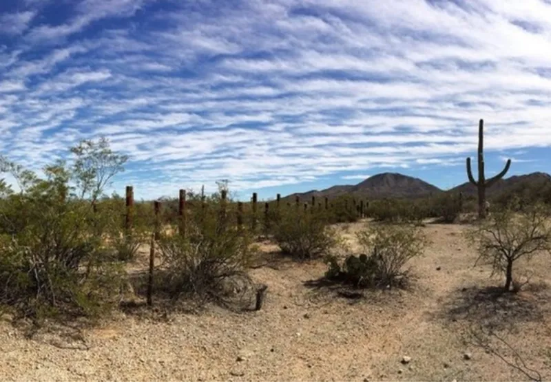 Deserto entre México e EUA: formas ilegais de tentar morar nos Estados Unidos
