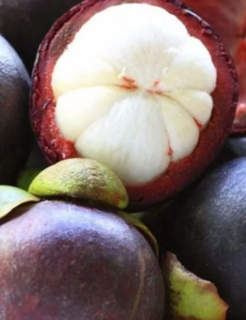 Imagem ilustrativa da imagem Agronegócio: Frutas exóticas na agricultura capixaba