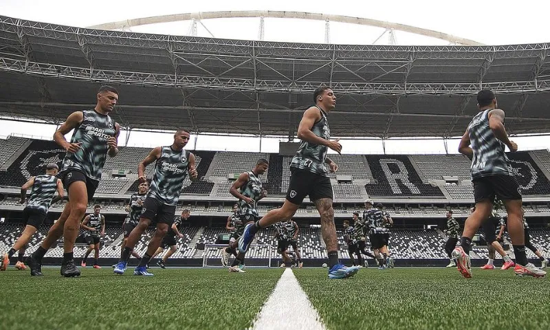 Imagem ilustrativa da imagem Botafogo visita o Internacional para buscar vaga direta na Libertadores