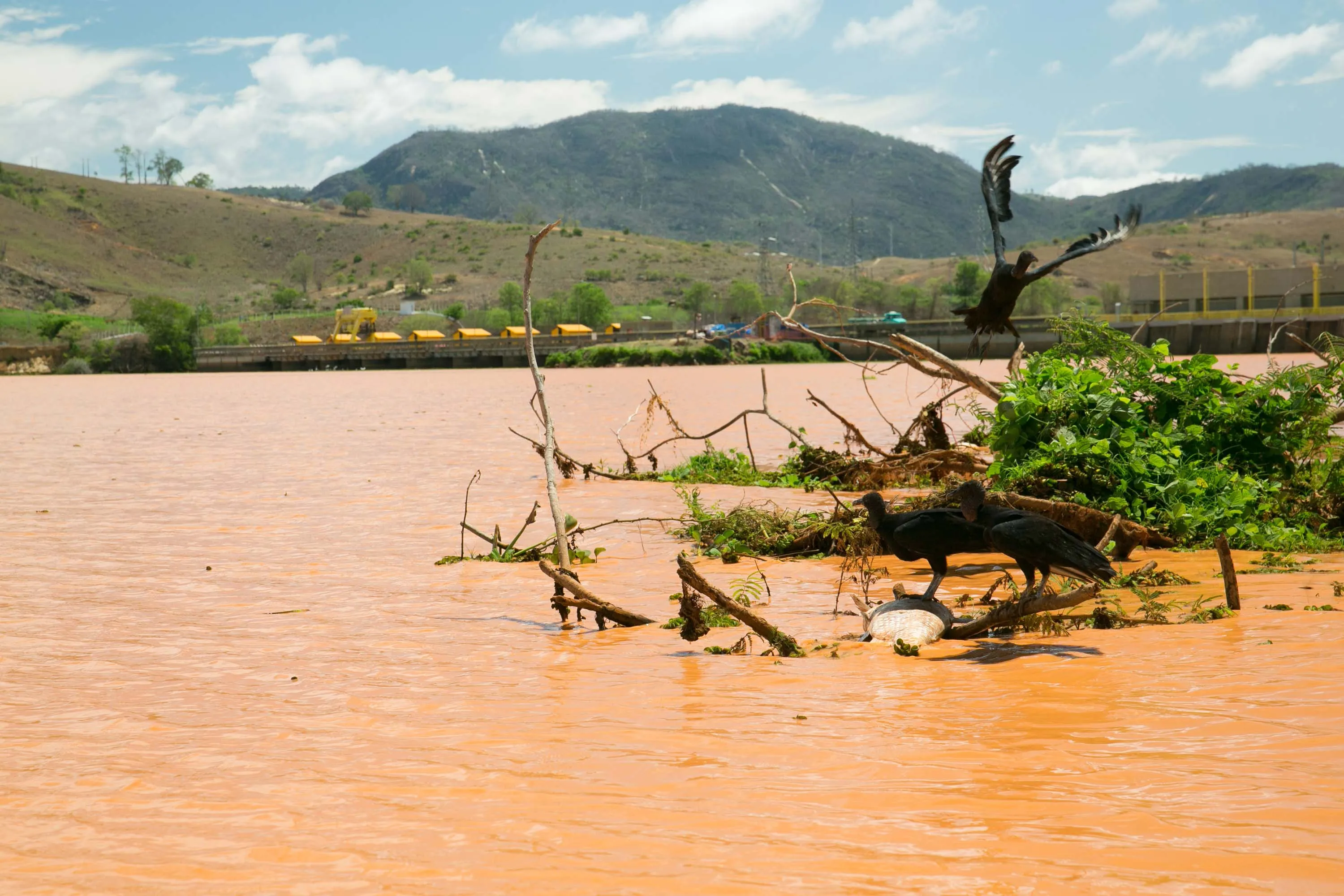 Imagem ilustrativa da imagem Desastre de Mariana: litoral do ES está fora da área de contaminação