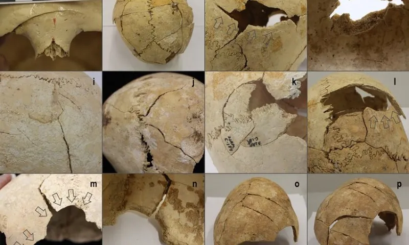 Imagem ilustrativa da imagem Descoberta em caverna arqueológica na Espanha revela guerra de 5.000 anos atrás