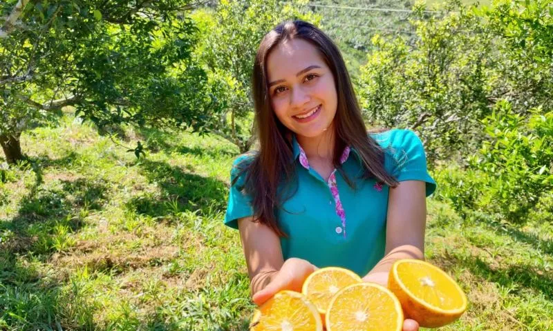 Imagem ilustrativa da imagem “Herdeiros do campo”: jovens trocam as cidades grandes pela vida nas fazendas