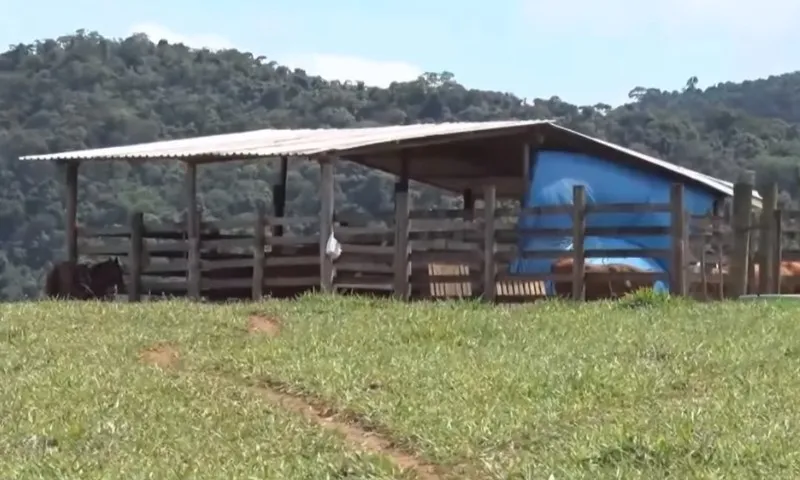 Imagem ilustrativa da imagem Homem tem 90% do corpo queimado após confusão com traficantes na Serra