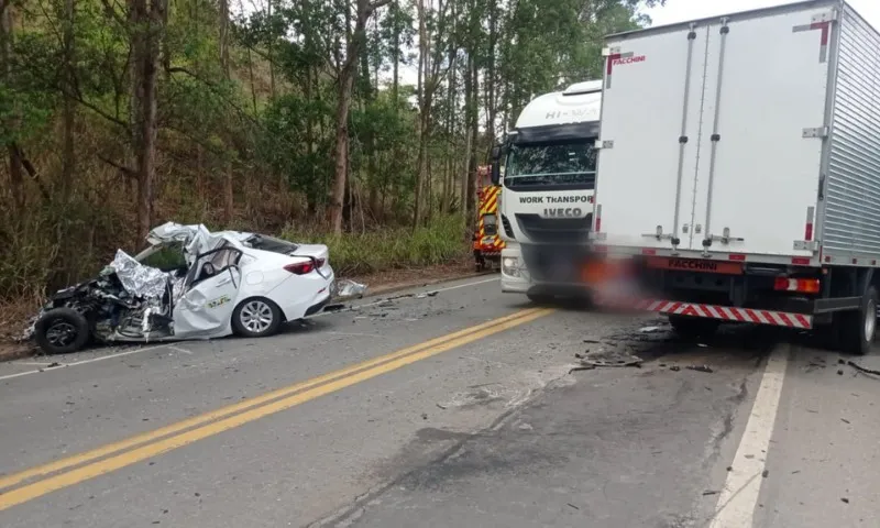 Imagem ilustrativa da imagem Motorista morre em acidente entre carro oficial e caminhão na BR-259