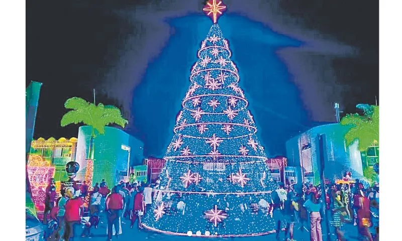Imagem ilustrativa da imagem Natal: 80 mil microlâmpadas já iluminam Anchieta