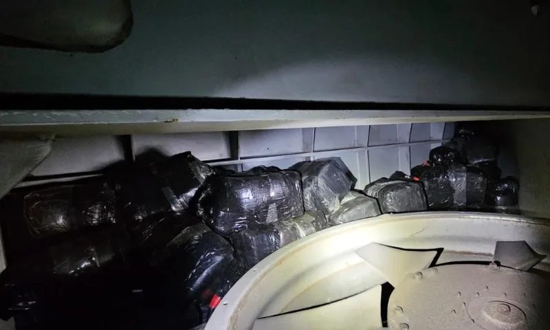 Imagem ilustrativa da imagem Polícia Federal apreende 1,5 tonelada de cocaína em navio no Porto de Vitória