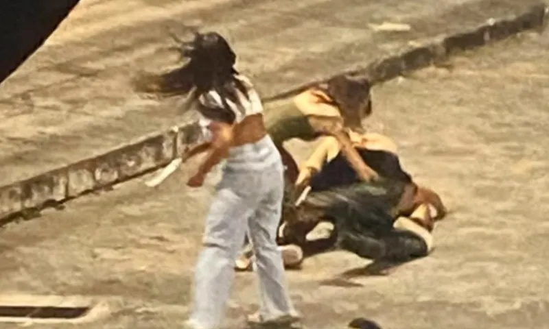 Imagem ilustrativa da imagem Universitária utiliza técnicas de jiu-jitsu e imobiliza assaltante em Vila Velha
