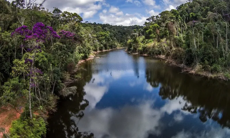 Imagem ilustrativa da imagem Alunos da rede pública viram "Guardiões da Natureza"