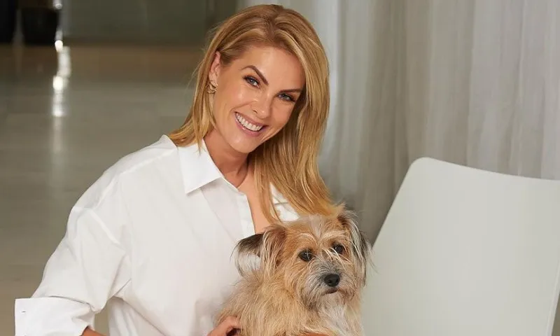 Imagem ilustrativa da imagem Ana Hickmann: marcas interessadas em publicidade aumentam após caso de violência