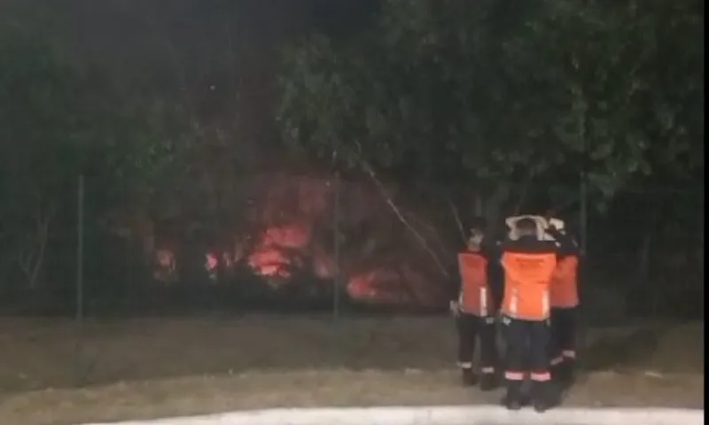 Imagem ilustrativa da imagem Bombeiros combatem incêndio em mata perto do Aeroporto de Vitória