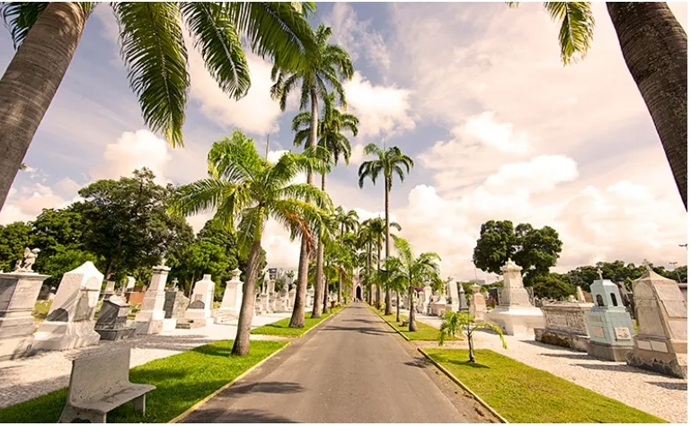 Imagem ilustrativa da imagem Cemitérios públicos do Recife recebem melhorias para o Dia de Finados