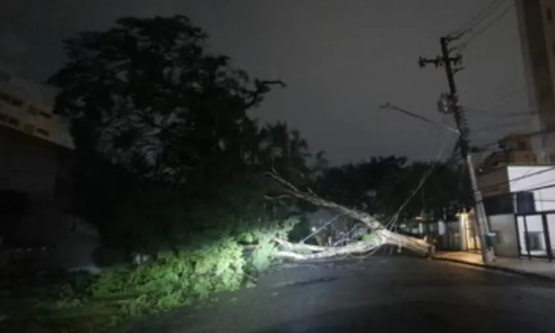 Imagem ilustrativa da imagem Chuva causa queda de 100 árvores e interrompe operação do aeroporto de Congonhas