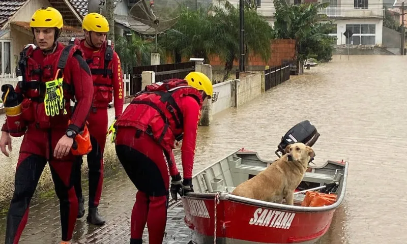 Imagem ilustrativa da imagem Chuva intensa em Santa Catarina causa danos em mais de 130 cidades