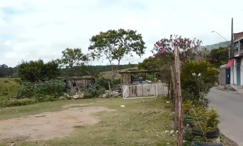 Imagem ilustrativa da imagem Criança é internada após levar coice de égua na Serra