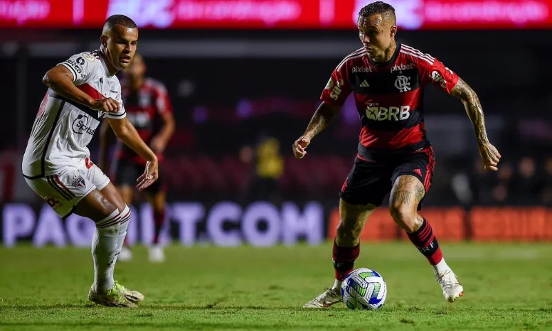 Imagem ilustrativa da imagem Flamengo perde para o São Paulo, mas fica com vaga direta para Libertadores