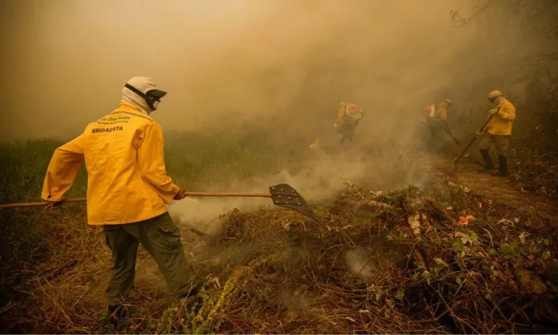 Imagem ilustrativa da imagem Incêndio atinge há um mês reserva amazônica no Amapá