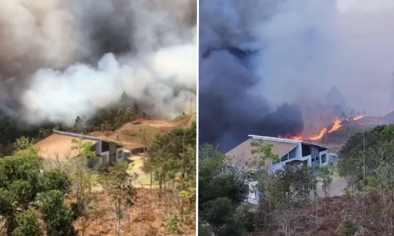 Imagem ilustrativa da imagem Incêndio em vegetação se aproxima de casas e assusta moradores em Domingos Martins