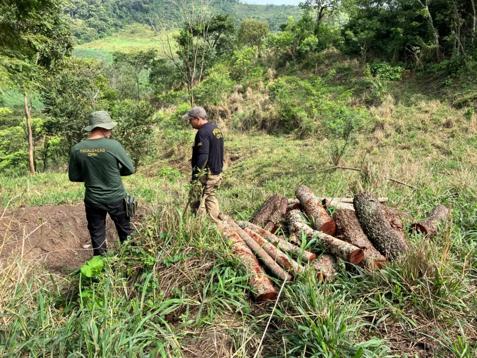 Imagem ilustrativa da imagem Operação contra desmatamento ilegal aplica R$ 1,2 milhão em multas em Pernambuco