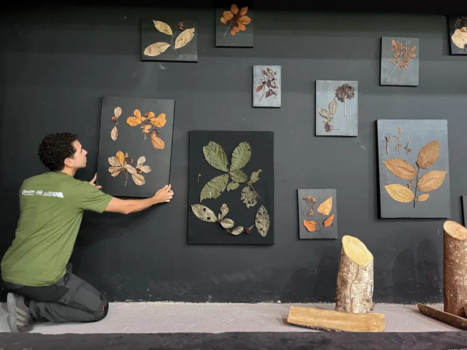 Imagem ilustrativa da imagem Parque Dois Irmãos promove exposição ‘Os sentidos da Natureza’