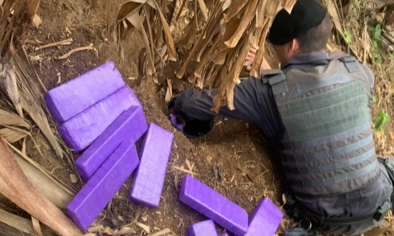 Imagem ilustrativa da imagem Polícia apreende mais de 10kg de maconha escondidos em área de mata de Cariacica