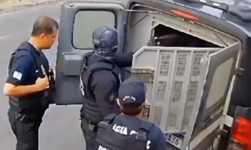 Imagem ilustrativa da imagem Policial lança spray e fecha viatura com detidos durante operação no ES