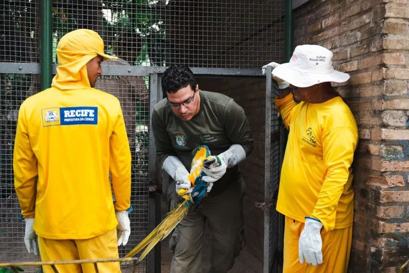 Imagem ilustrativa da imagem Prefeitura começa a retirar animais do zoológico do Parque 13 de Maio