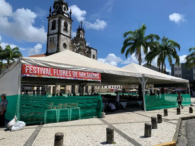 Imagem ilustrativa da imagem Recife recebe o Festival Flores de Holambra na próxima segunda-feira