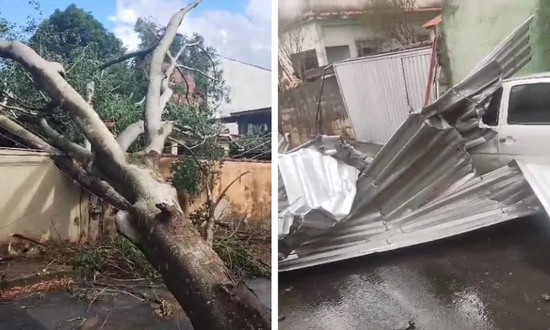 Imagem ilustrativa da imagem Temporal deixa estragos em Cariacica. Veja vídeos