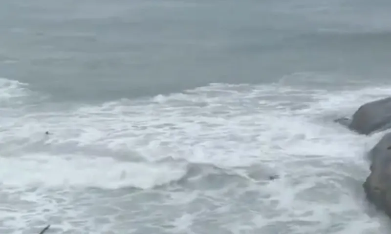 Imagem ilustrativa da imagem VÍDEO | Turistas são levados por onda ao fazerem selfie em praia do Rio de Janeiro