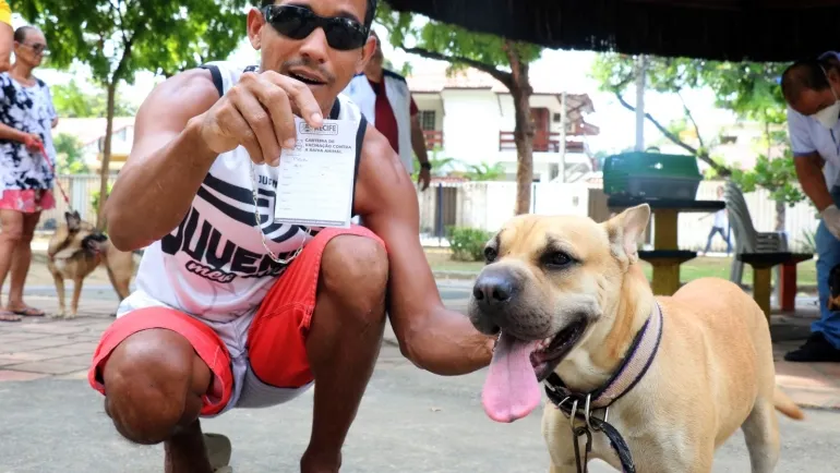 Imagem ilustrativa da imagem Veja onde vacinar gratuitamente seu cão ou gato neste domingo no Recife