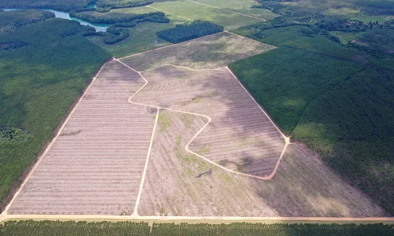 Imagem ilustrativa da imagem Zona Franca já atrai seis empresas em Aracruz