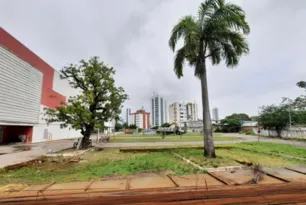 Imagem ilustrativa da imagem Assaí abre mais de 130 vagas temporárias em Pernambuco, podendo efetivar