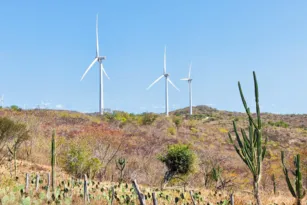 Imagem ilustrativa da imagem COP-28: Pernambuco terá regulamentação para implantação de energias renováveis