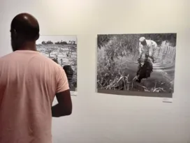 Imagem ilustrativa da imagem Cultura Marítima Pesqueira em Pernambuco é tema de exposição na Fundaj