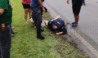 Imagem ilustrativa da imagem Policial Rodoviário Federal é atropelado na BR-408