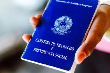 Imagem ilustrativa da imagem 2.981 vagas de emprego em Vitória, Vila Velha, Serra, Cariacica e Linhares