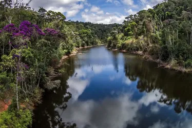 Imagem ilustrativa da imagem Alunos da rede pública viram "Guardiões da Natureza"