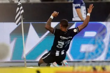 Imagem ilustrativa da imagem América-MG x Botafogo: Alvinegro busca ampliar a vantagem na tabela